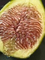 IMG_0623.jpeg