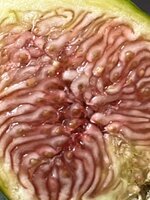 IMG_0624.jpeg