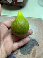 IMG_5869.jpeg IMG_5869.jpeg