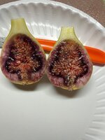 IMG_5871.jpeg IMG_5871.jpeg