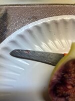 IMG_5872.jpeg IMG_5872.jpeg