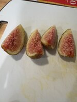 IMG_8745.jpeg IMG_8745.jpeg