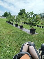 20250707_113748.jpg 20250707_113748.jpg