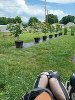 20250707_113933.jpg 20250707_113933.jpg