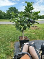 20250707_114019.jpg 20250707_114019.jpg