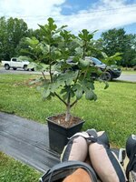 20250707_114240.jpg 20250707_114240.jpg