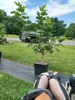20250707_114312.jpg 20250707_114312.jpg