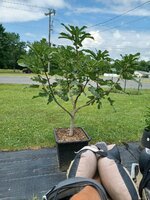 20250707_114337.jpg 20250707_114337.jpg